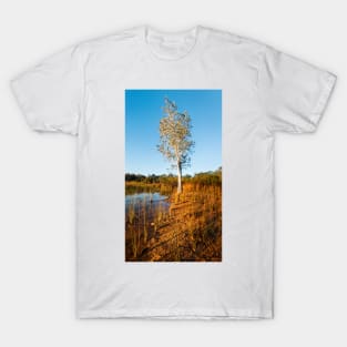 Morning Light T-Shirt